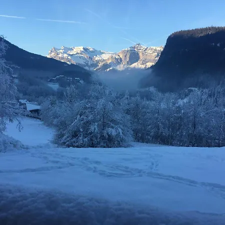 Vallee De Chamonix Au Pied Des Pistes *